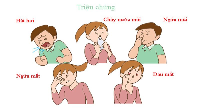 Dấu hiệu của Viêm Mui Xoang