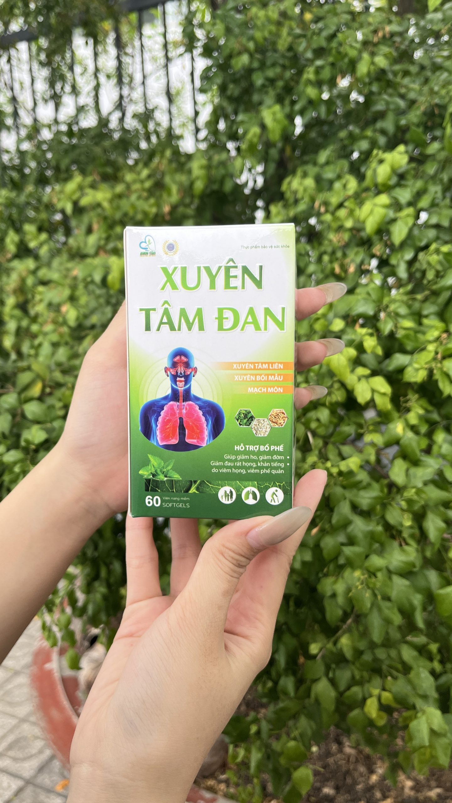 Viên uống hỗ trợ bổ phế Xuyên Tâm Đan