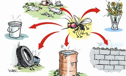 Cách phòng chống sốt xuất huyết hiệu quả